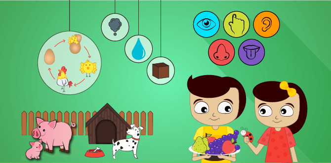 Kids Games Learning Science